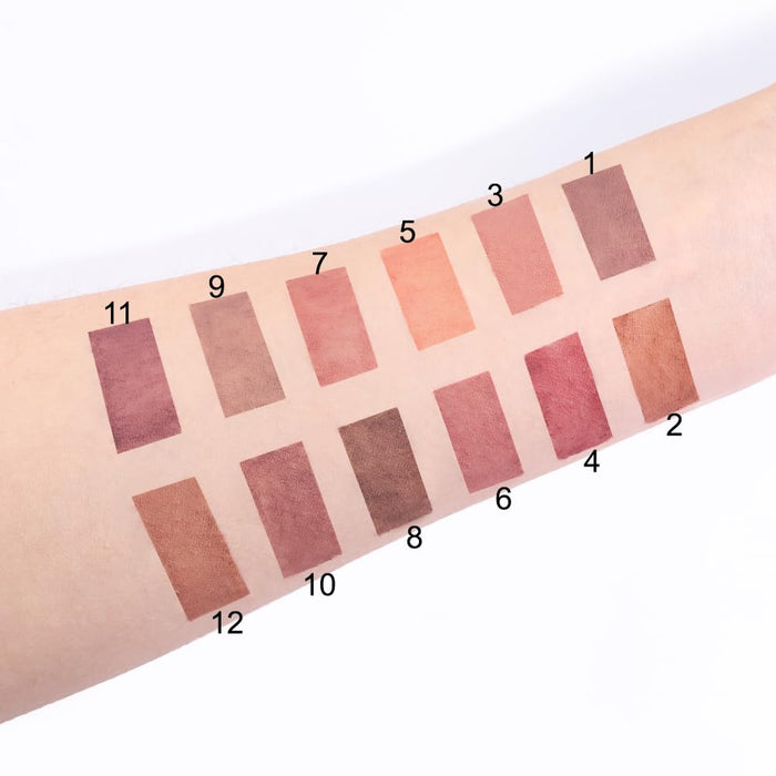 12 Pcs Natural Nude Brown Beige Colors Lip Liner Lipstick Pencils Set for Daily Makeup,Easy to Apply & Remove,Waterproof (set08)